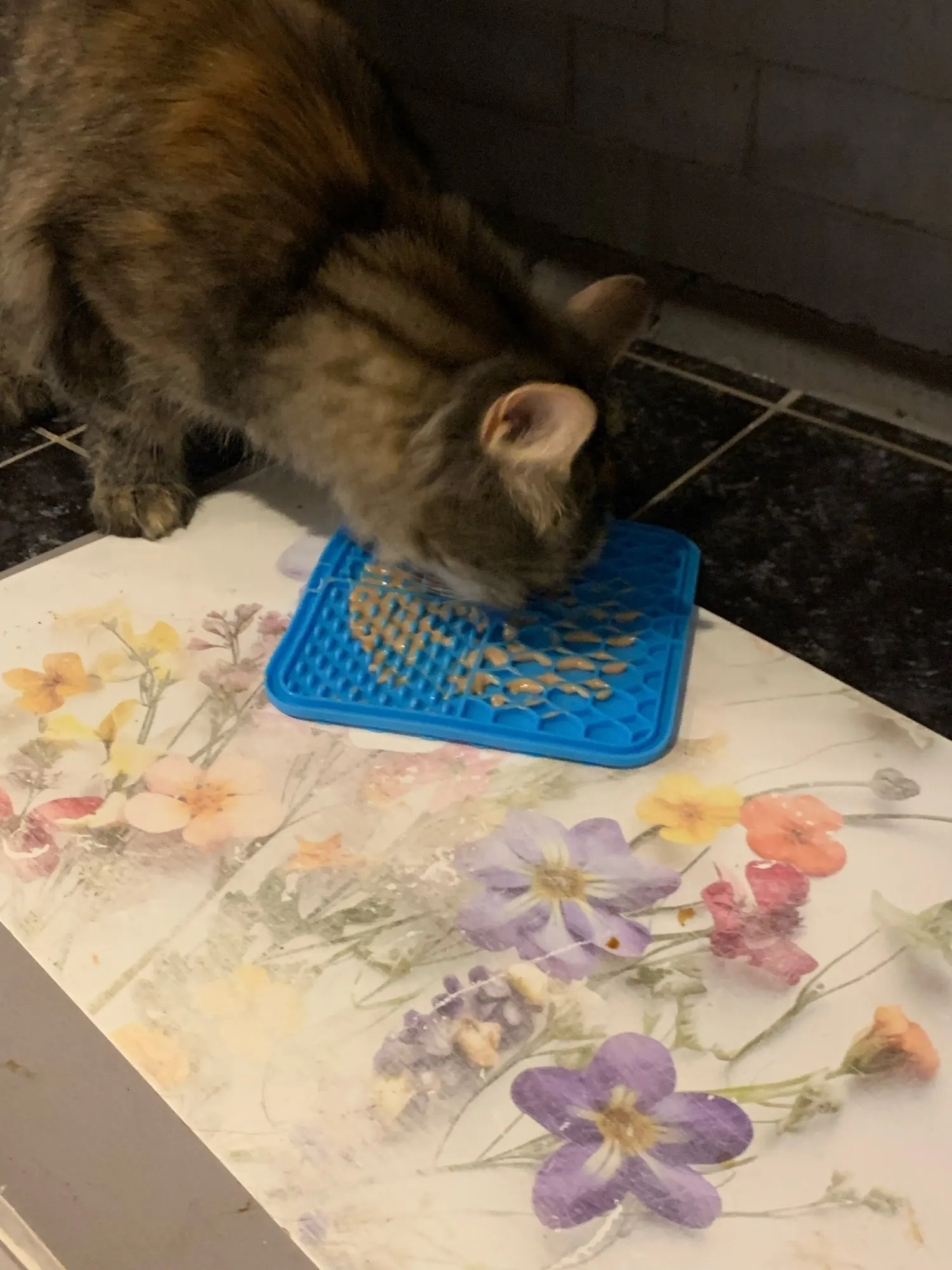 Customer review photo for Dog Lick Mat with Suction Cups