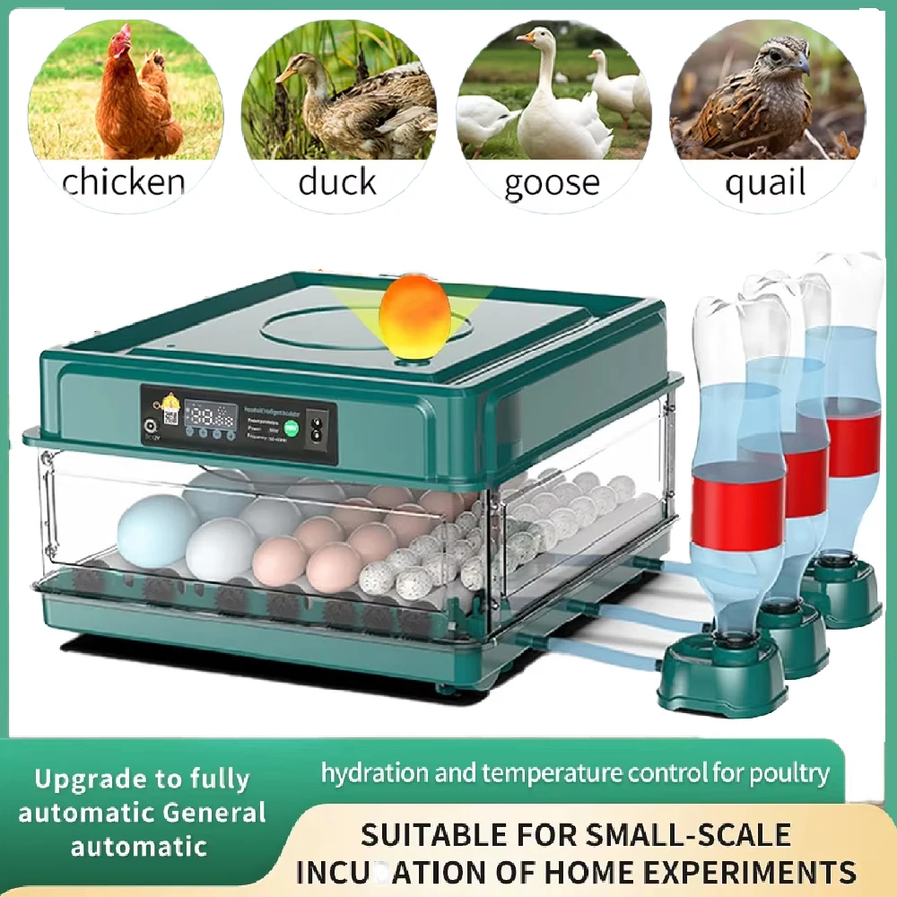 24/36 Eggs Incubator With Drawer Type EggIncubator With Automatic Water Ionic Water Waterbed plenishment And Temperature Control