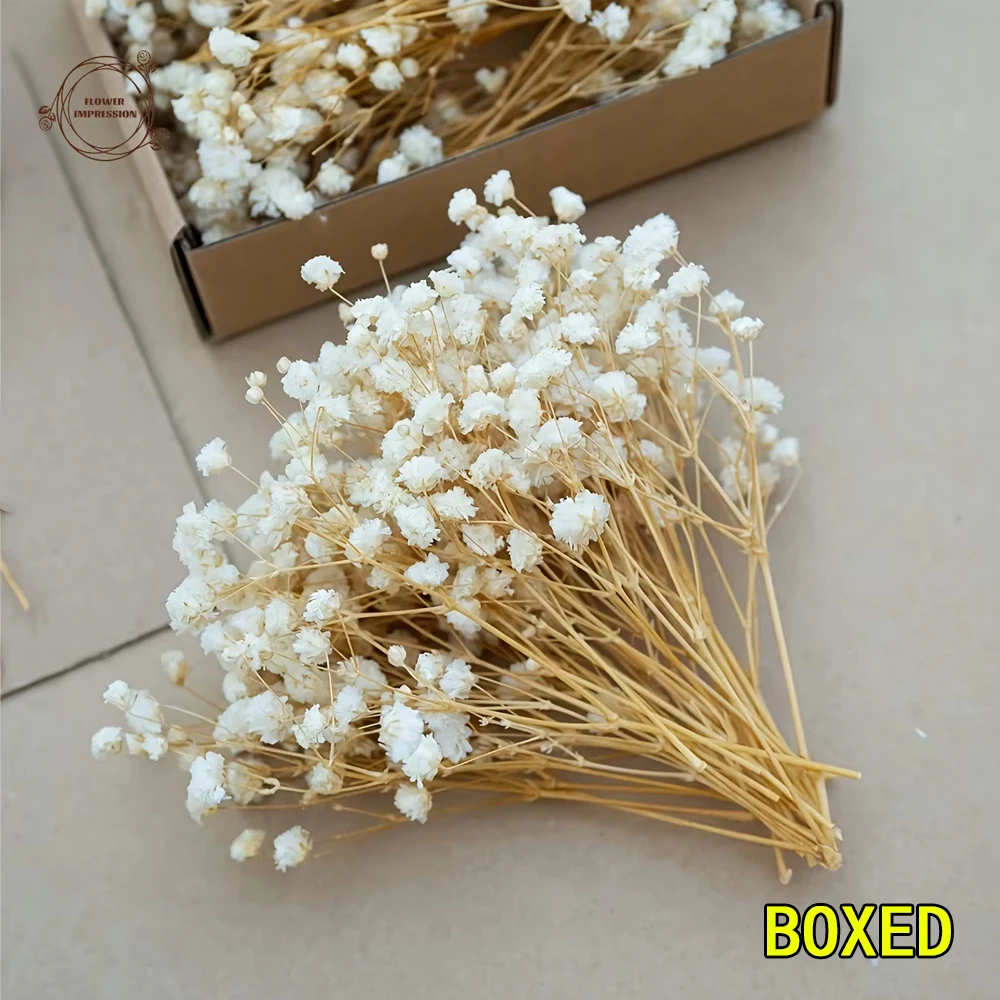 

50pcs Dry Flowers Baby's Breath Bouquet Gypsophila Floral Arrangement Wedding Party Decor Vase DIY Table Pampas Grass Decoration
