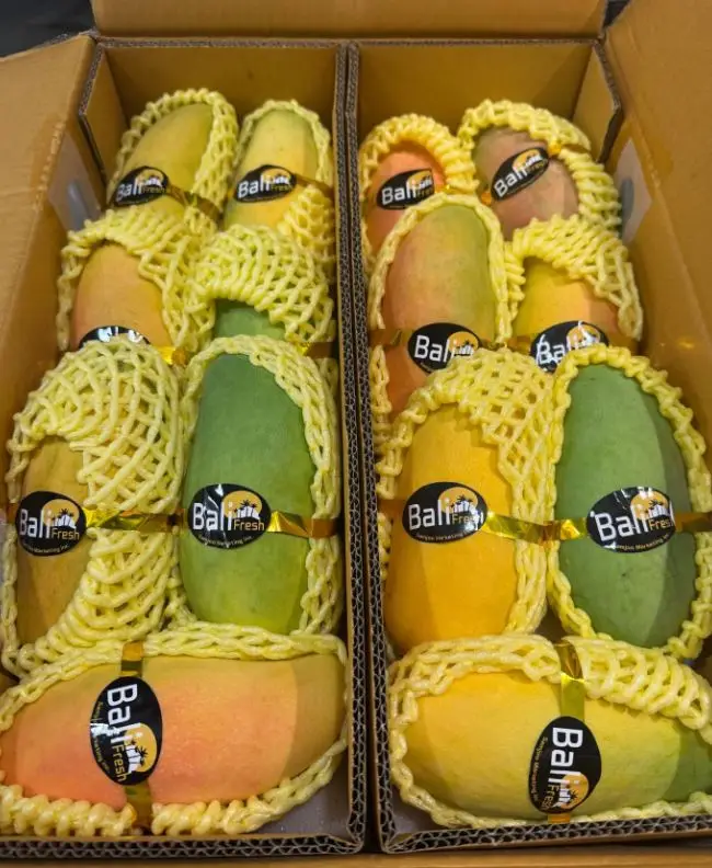 Rainbow Mango 4kg Especial/Estado