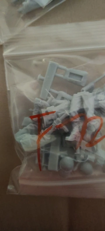 Buyer photo of this resin kit