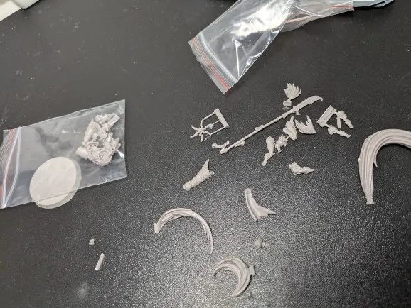 Buyer photo of this resin kit