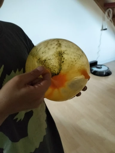 리뷰 사진