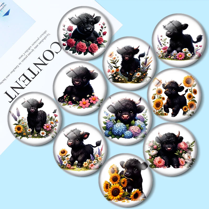 

Черная Хайлендская Корова, 10 шт., 12 мм/18 мм/20 мм/25 мм, круглый фотостекло, кабошон, демо, плоская задняя часть, выводы