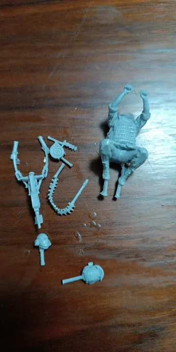 Buyer photo of this resin kit