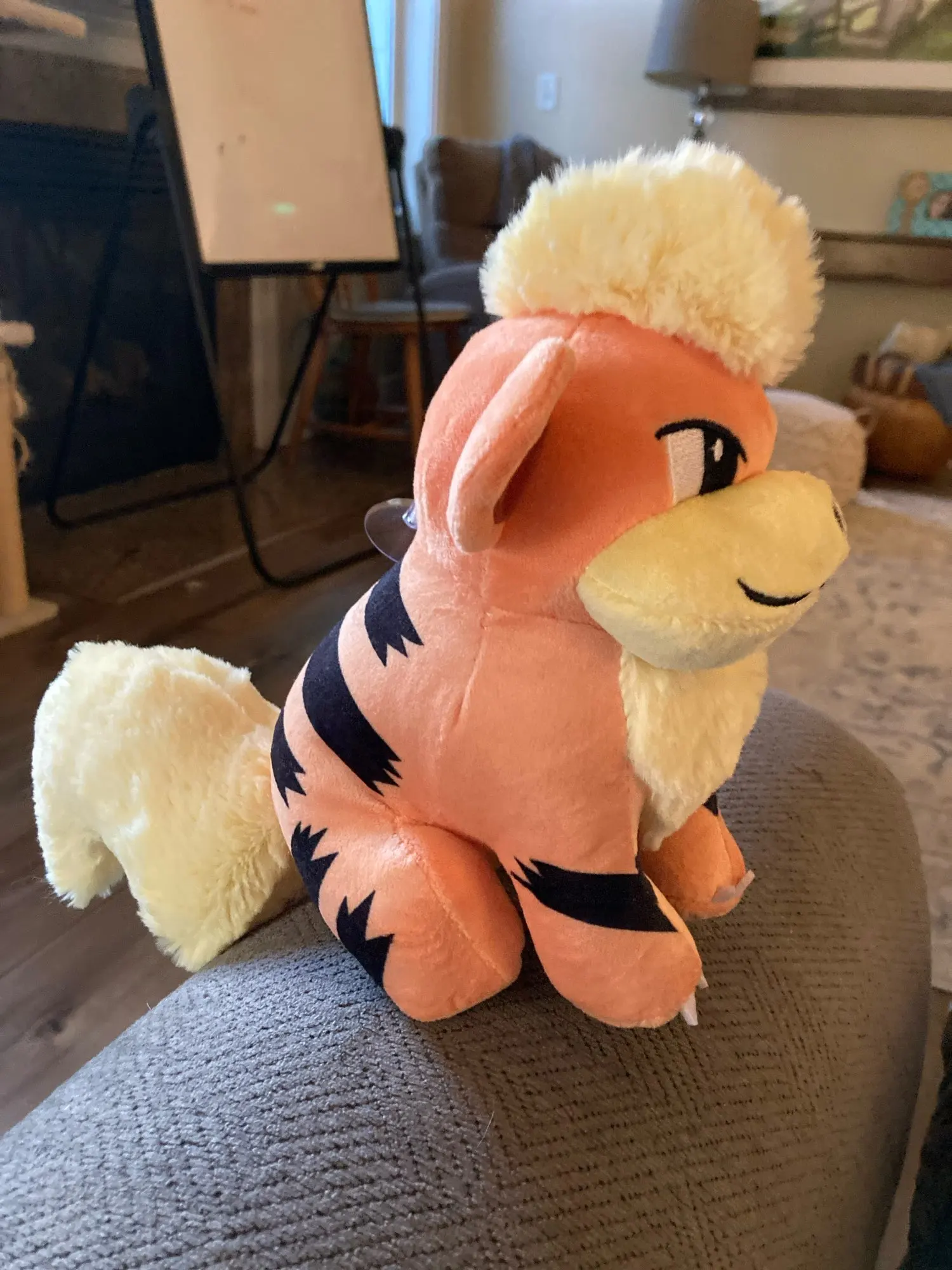 Customer review photo