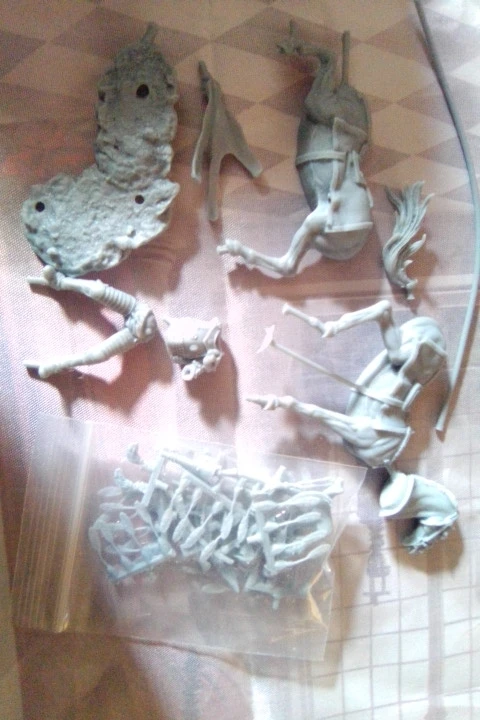 Buyer photo of this resin kit