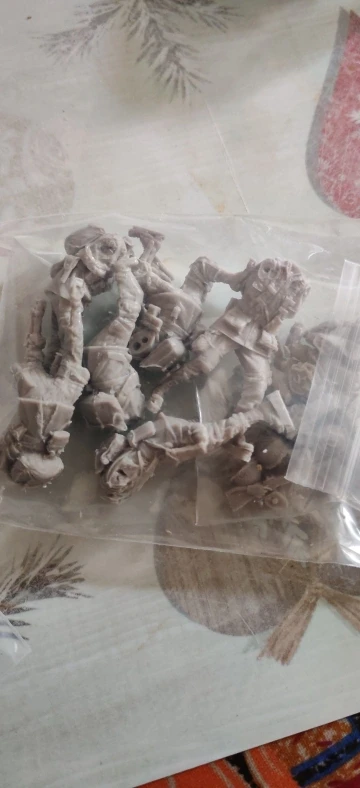Buyer photo of this resin kit