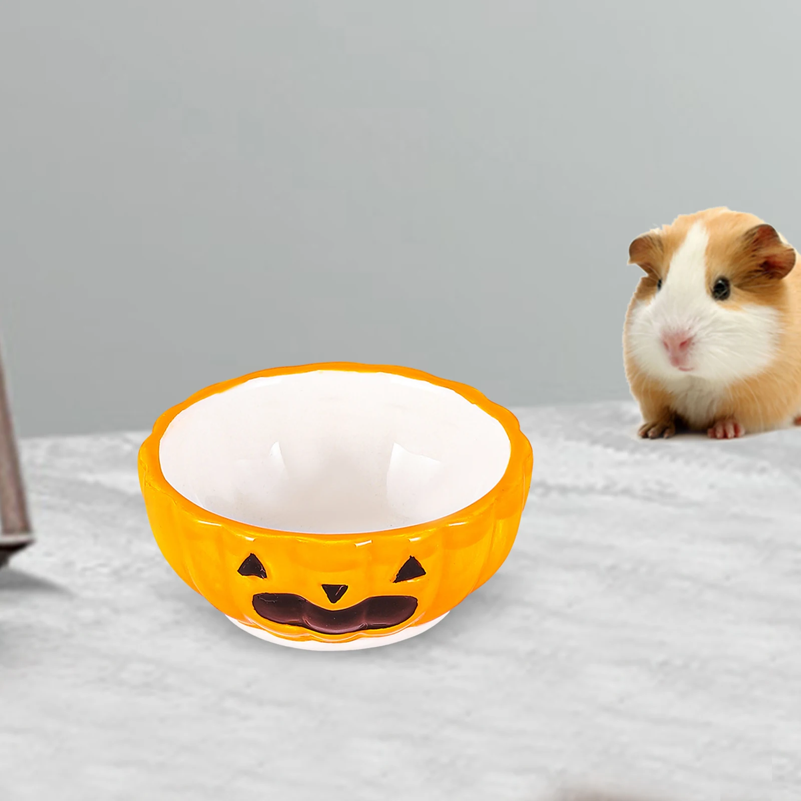 Thumbnail 3 - #6 Trending Hamster Habitats Right Now