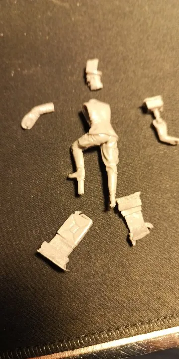 Buyer photo of this resin kit