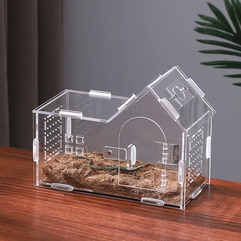 Reptile Feeding Box 1