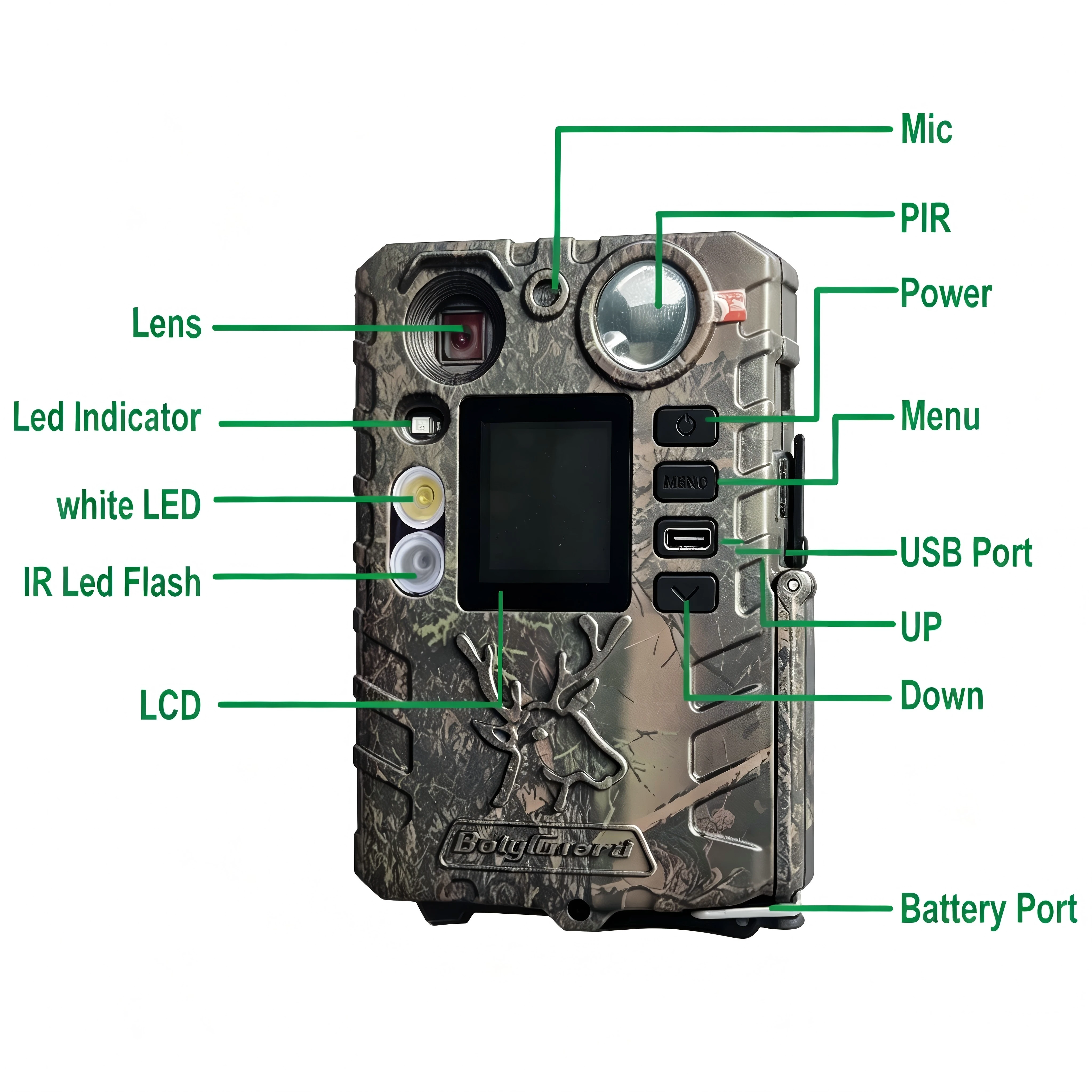 Thumbnail 4 - #13 Trending Wildlife Cameras Right Now
