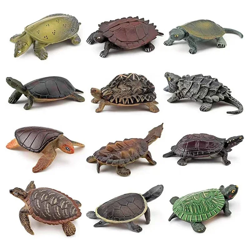 Figurines d'animaux réalistes pour enfants, tortue d'Auckland, jouets pour enfants, modèles miniatures d'aquarium, modèles d'océan, cadeau d'ornement
