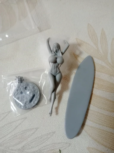 Buyer photo of this resin kit
