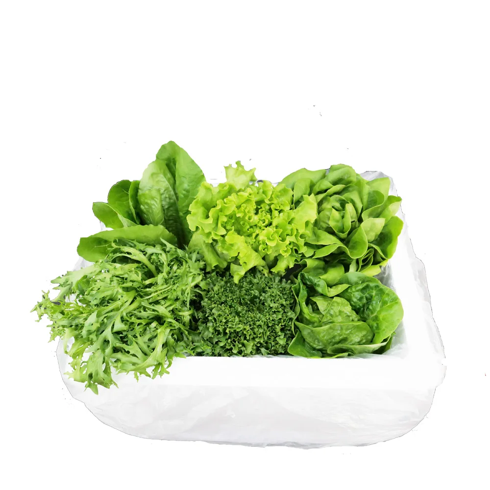 Organic Agriculture Group Goesan Direct European Salad 1kg (3-4 kinds)