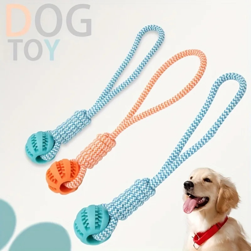 Thumbnail 4 - #66 Compare Dog Toys Before You Buy