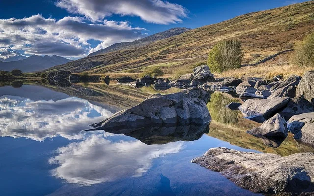 

Модель стоматологической лаборатории, триммер для арки, абразивный дисковый станок для обрезки гипса или огнеупорной литой стоматологической лаборатории