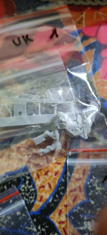 Buyer photo of this resin kit