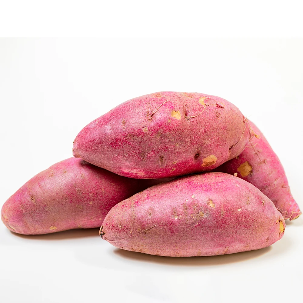 세척 꿀 고구마 상