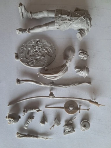 Buyer photo of this resin kit