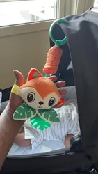 Imagen de reseña 1