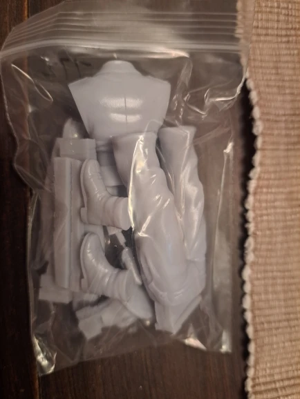 Buyer photo of this resin kit