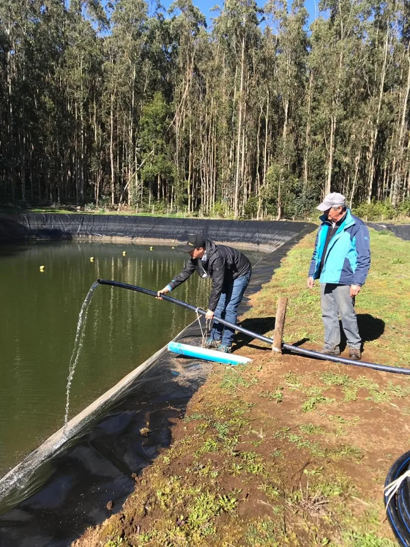 

3 "наружный диаметр, небольшой фермерский погружной насос переменного и постоянного тока на солнечной энергии для орошения с гибридным контроллером, энергосберегающий солнечный насос