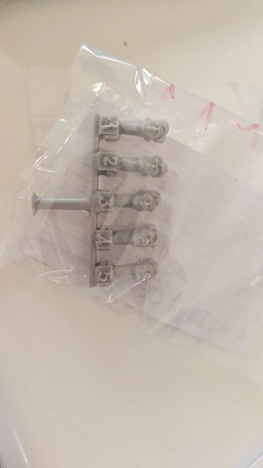Buyer photo of this resin kit
