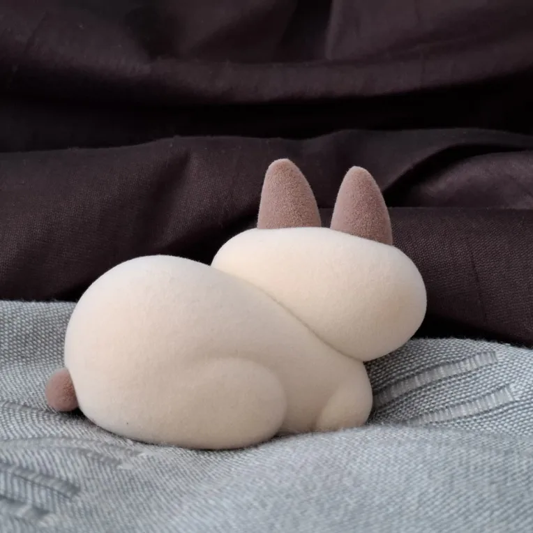 실물 포토 리뷰