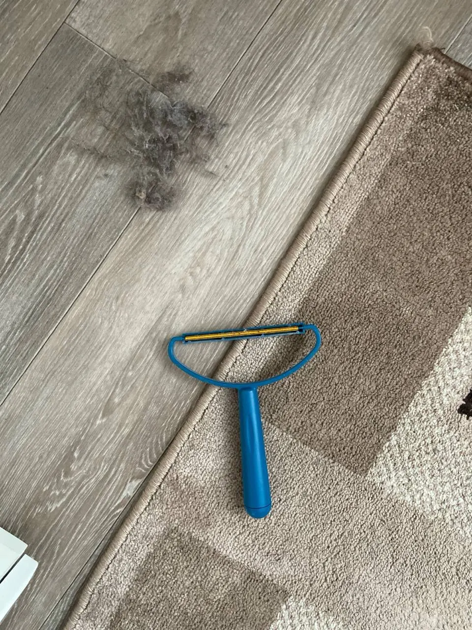 Customer review photo for Manual Pet Hair & Lint Remover Brush