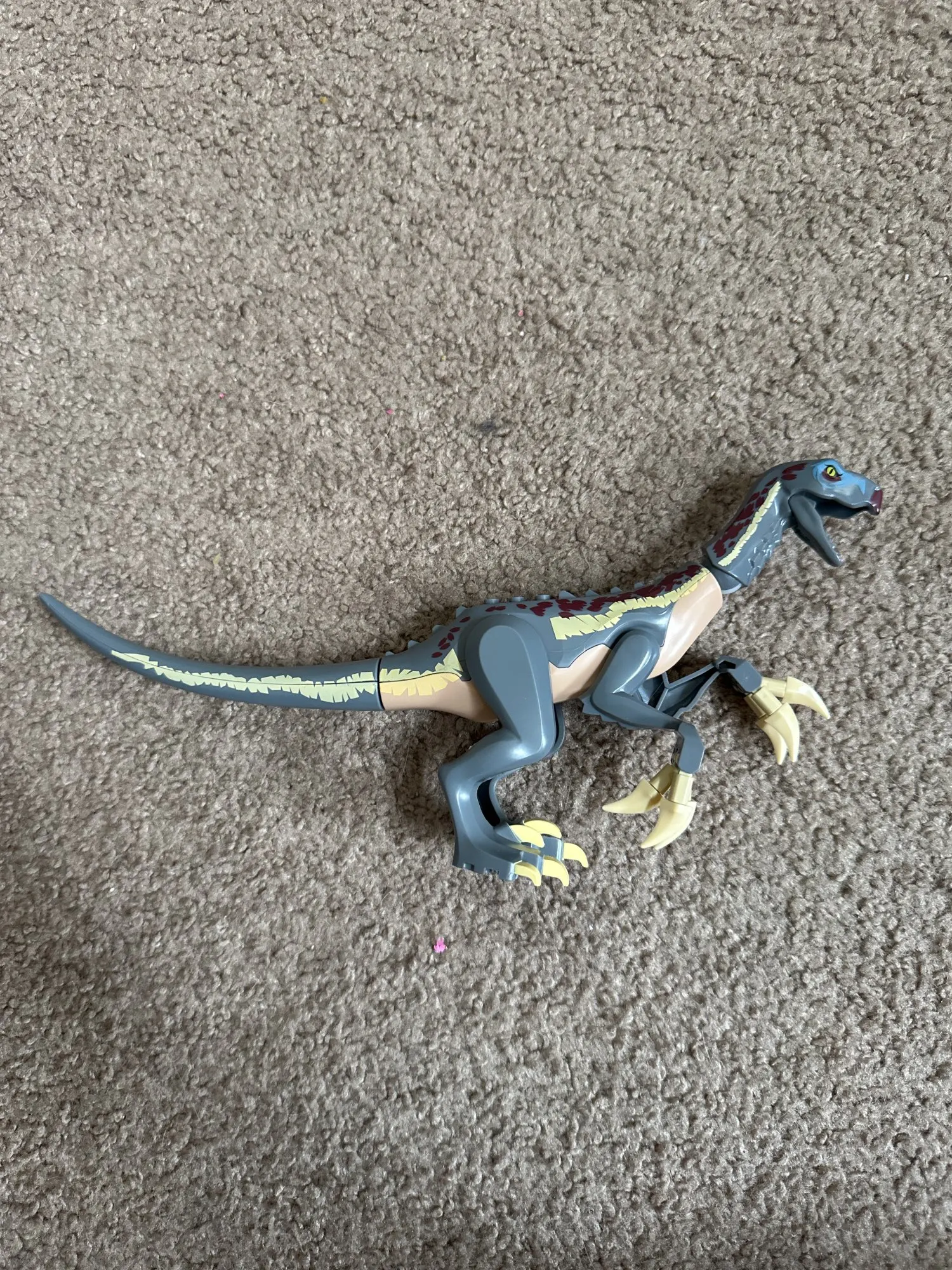 Customer review photo