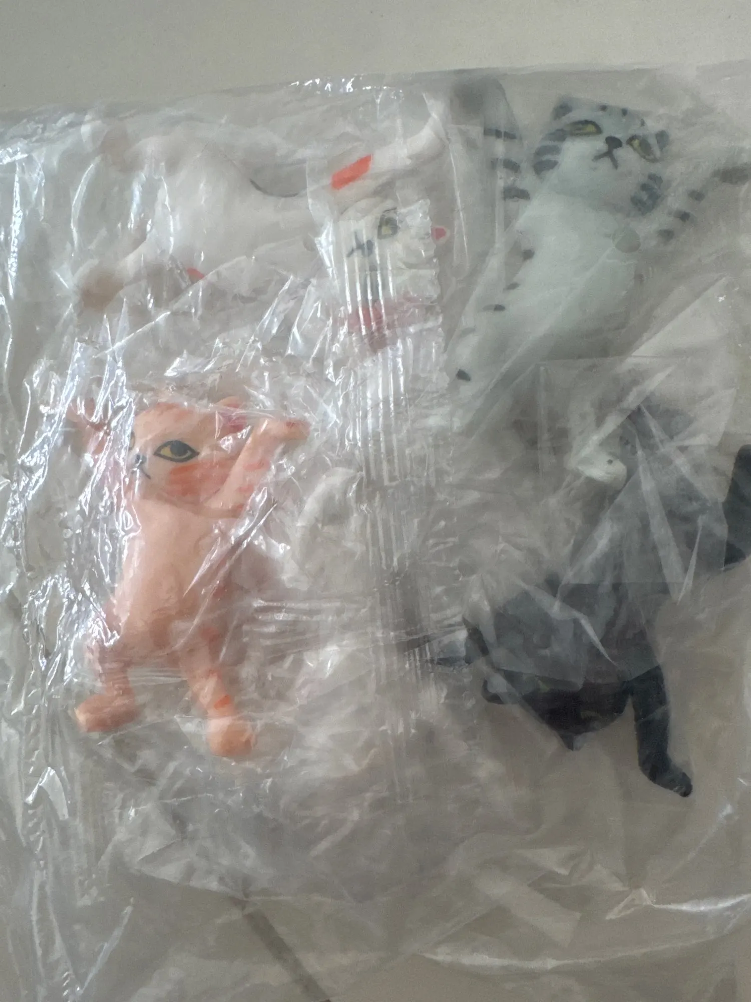 실물 포토 리뷰