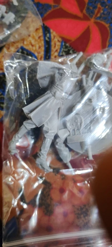 Buyer photo of this resin kit