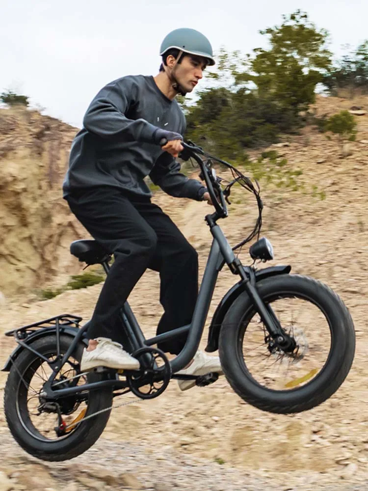 AliExpress URLIFE Urlife Electric Off-road Mountain Bike 20 x 4 Inch Fat Tire 48V 15.6Ah Removable Battery 28 MPH 100 Mile Range Commuter Ebike