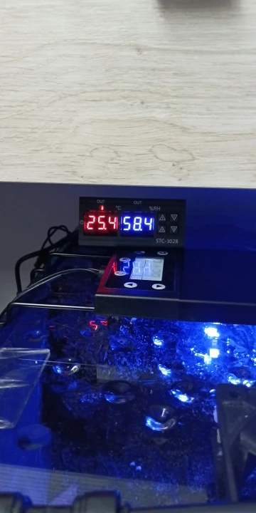 리뷰 사진