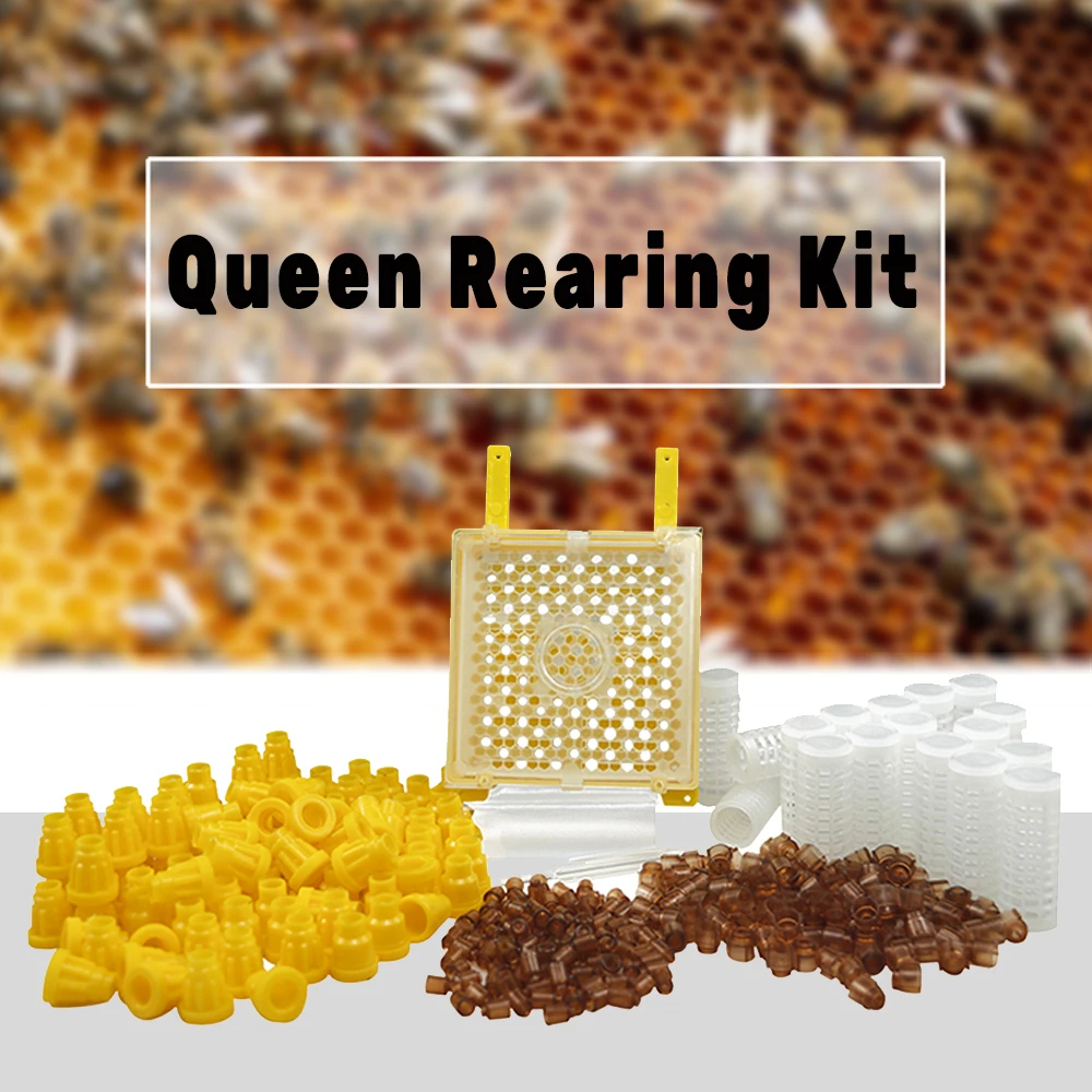 Germany Jenter Queen Rearing Kit Nicot Bee Queens Rearing System Queen Bee Larva Move Cage Goods Tool For Beekeeper Supplies