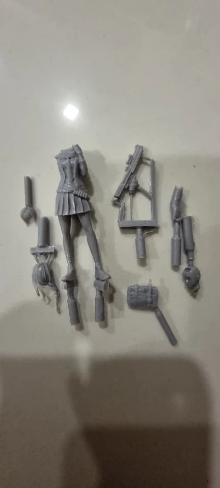 Buyer photo of this resin kit