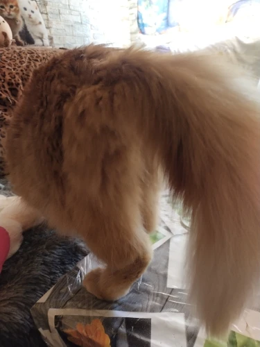 구매후기