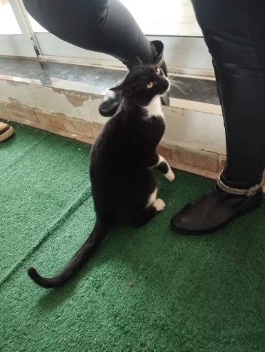 리뷰 사진