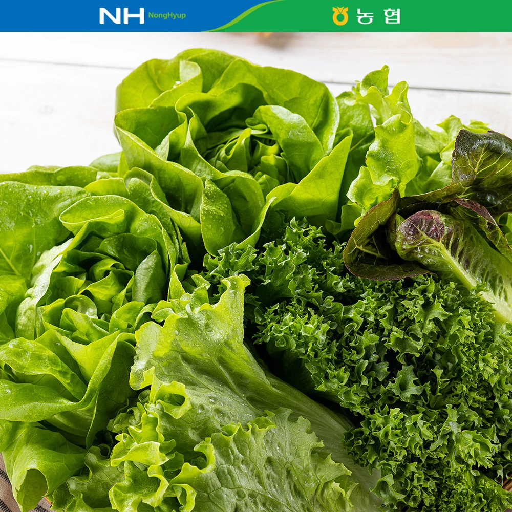 الخضروات سلطة شهادة الفجوة الأوروبي ، 1 ، 4-6 أنواع #2