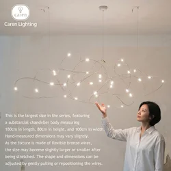 Caren Lighting Firefly Unique LED Chandeliers Modern chandeliers Stylish chandeliers Elegant chandeliers sparkle and shine
