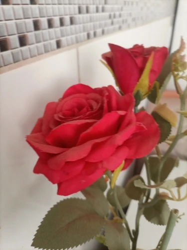 구매후기