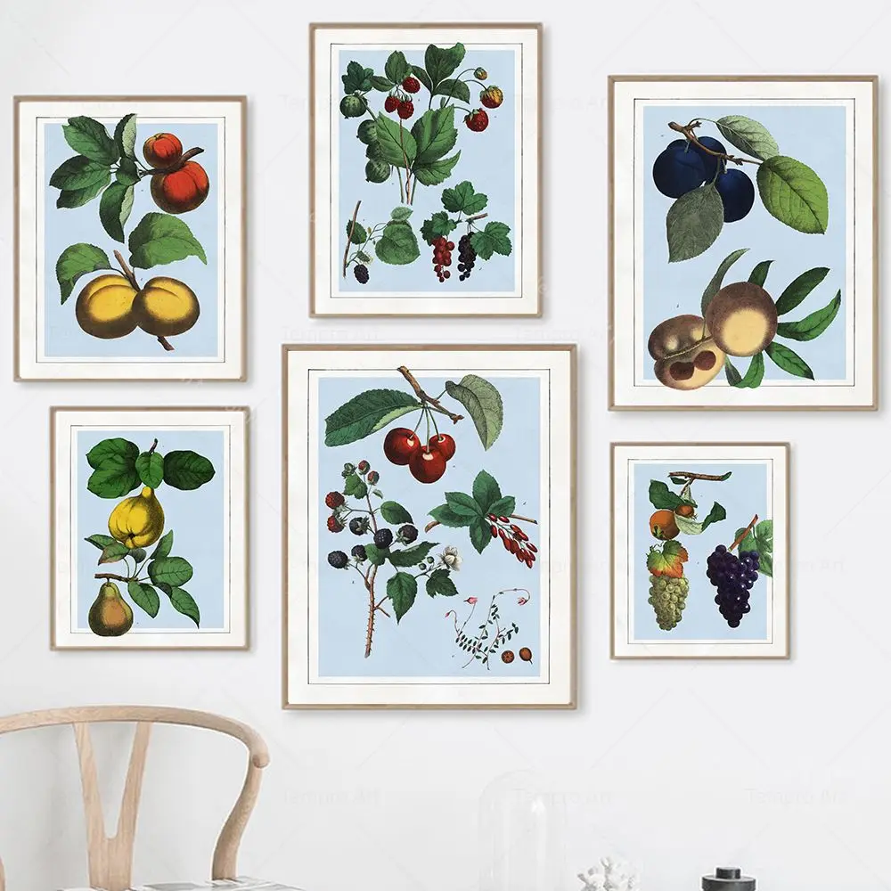 

Vintage Fruit Poster Retro Grape Cherry Strawberry Scandinavian Canvas Painting Wall Art Picture Print Kitchen Dining Room Decor