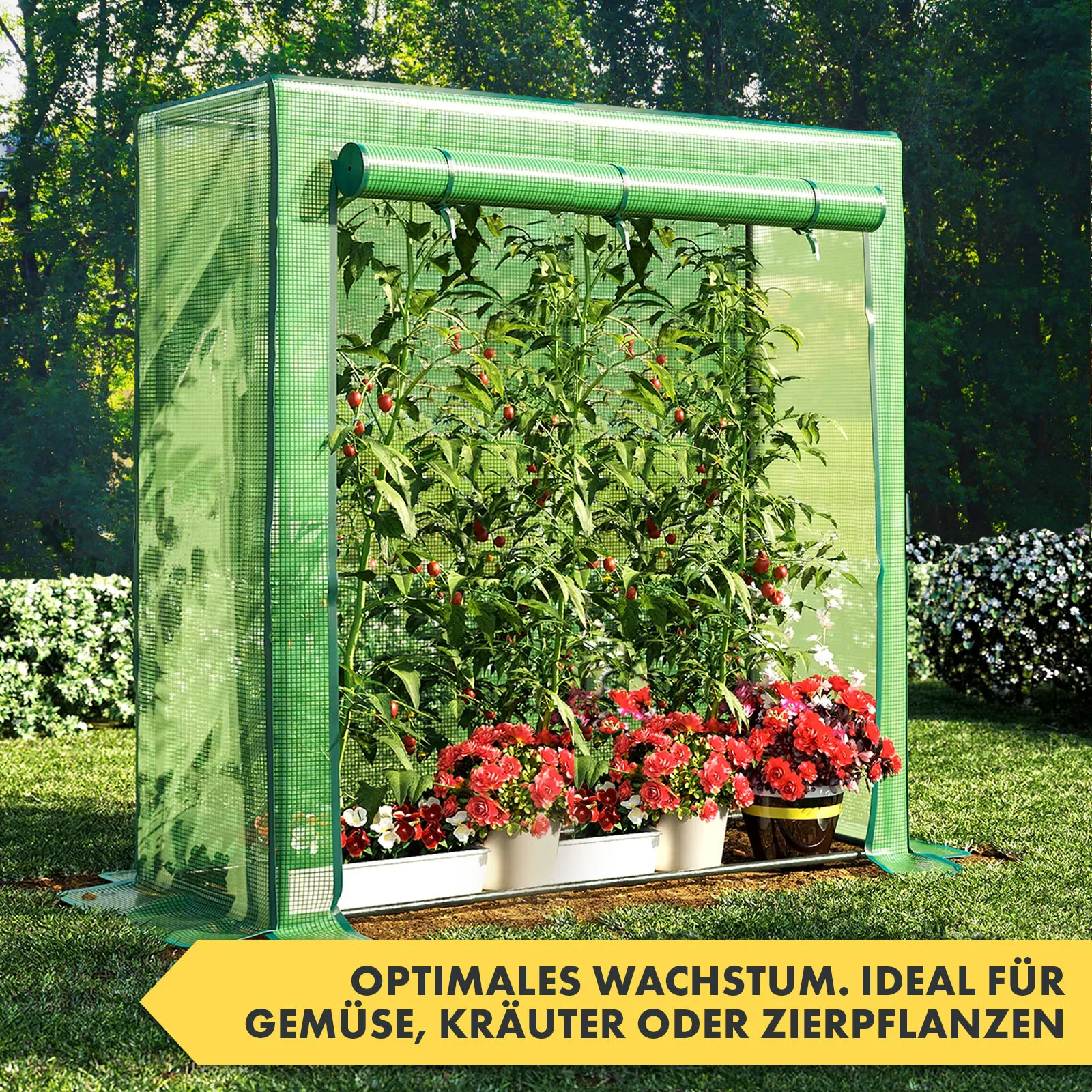 Floordirekt Tomaten-Gewächshaus Botanika - UV-beständige PE-Folie, Stahlgestell, Rollo mit Reißverschluss - Grün