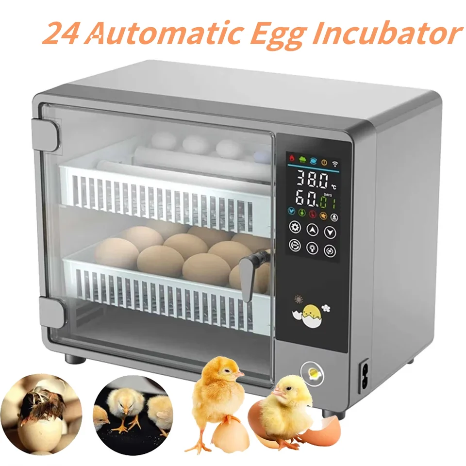 Incubateur entièrement automatique de 24 œufs avec tiroir, rotateur automatique, contrôle de la température, bougies à œufs à écran tactile intégré