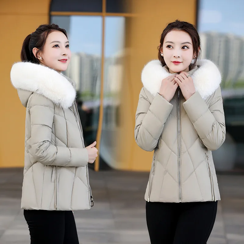 2023 New Down Cotton Coat Women's Short Autumn/Winter 5 Colors Casual Female Warmth Parkas