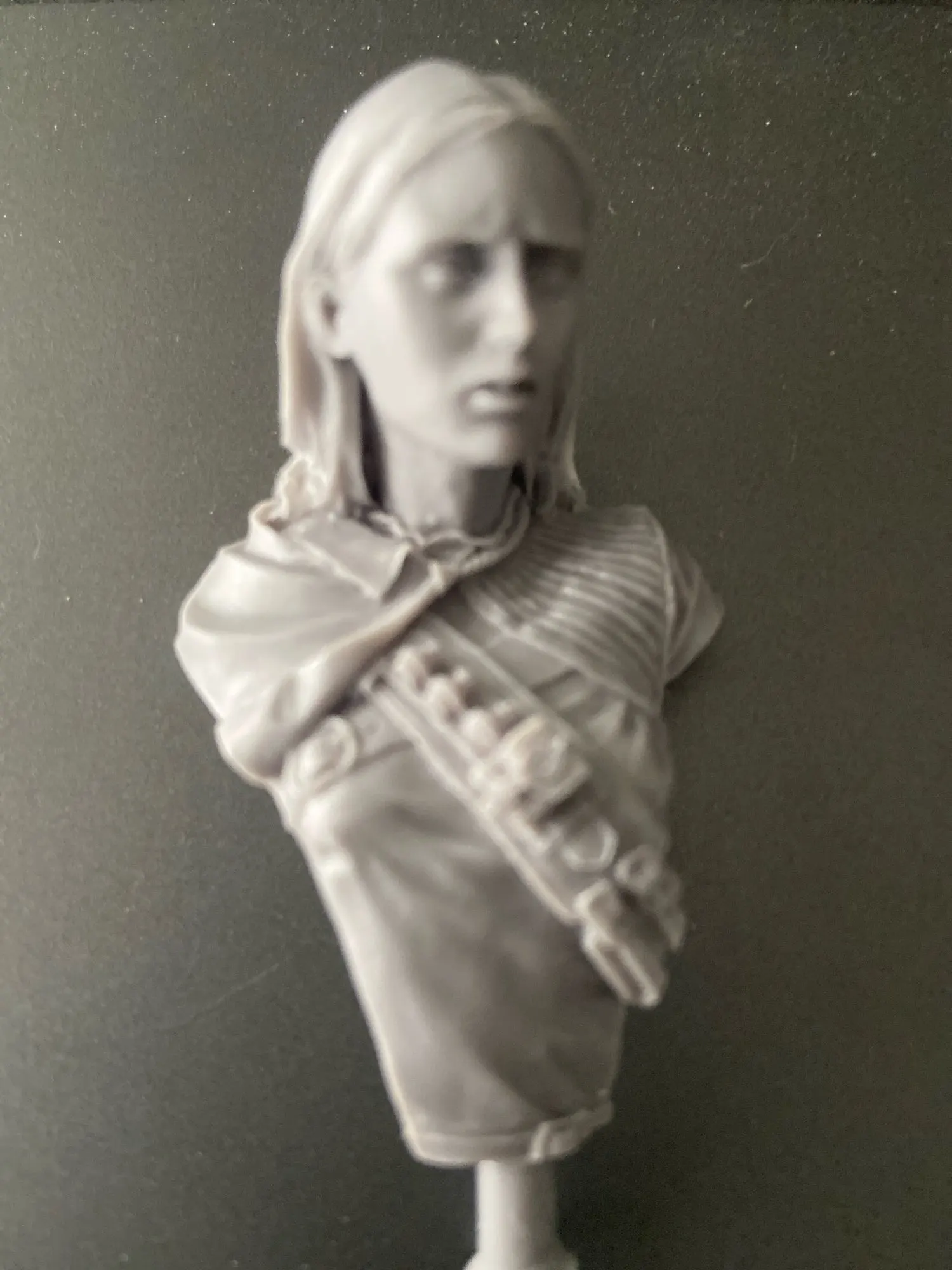 Buyer photo of this resin kit