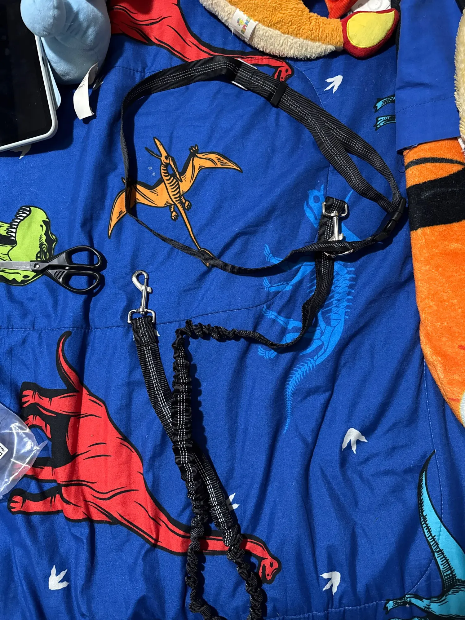 Customer review photo for Hands-Free Bungee Dog Leash with Adjustable Waist Belt