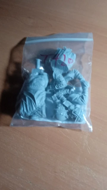 Buyer photo of this resin kit