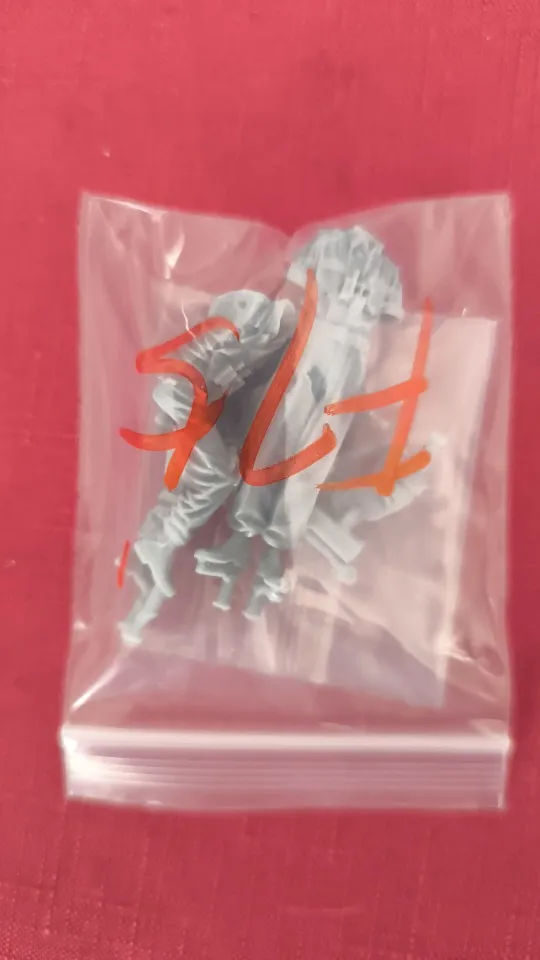 Buyer photo of this resin kit